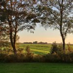 Blick von der Warft in Richtung Westen