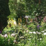 Staudengarten